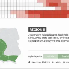 W czerwcu w Regionie II silnie pyli cladosporium i alternaria. Mapa pokazuje obszary o różnym stężeniu pyłków.