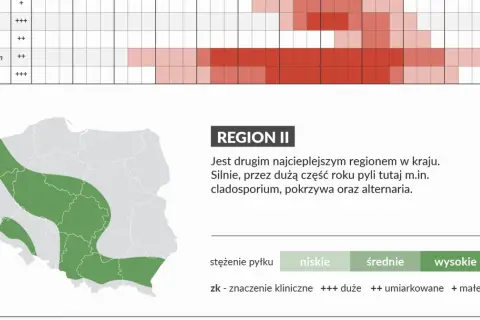 W czerwcu w Regionie II silnie pyli cladosporium i alternaria. Mapa pokazuje obszary o różnym stężeniu pyłków.