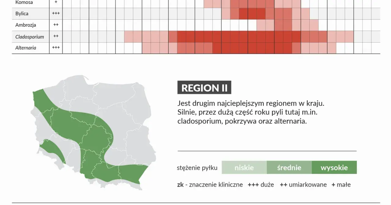 W czerwcu w Regionie II silnie pyli cladosporium i alternaria. Mapa pokazuje obszary o różnym stężeniu pyłków.