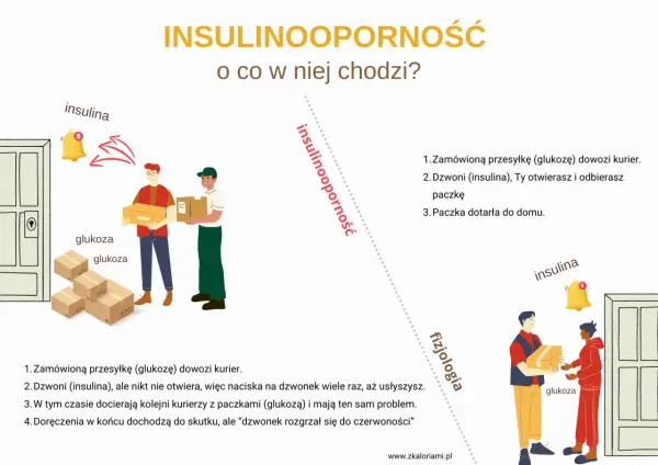 Ilustracja wyjaśnia insulinooporność. Kurierzy dostarczają glukozę, ale insulina nie otwiera drzwi, co utrudnia jej dotarcie.
